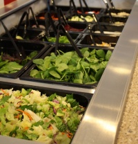 Salad Bar with Entree